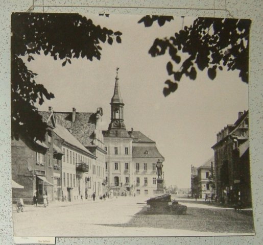 Photograph
