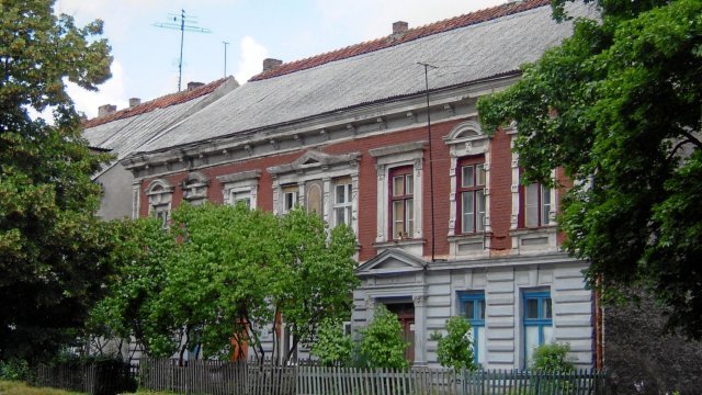 Photograph
